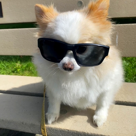 Meet your Posher, Katie - Picture 1 of 16